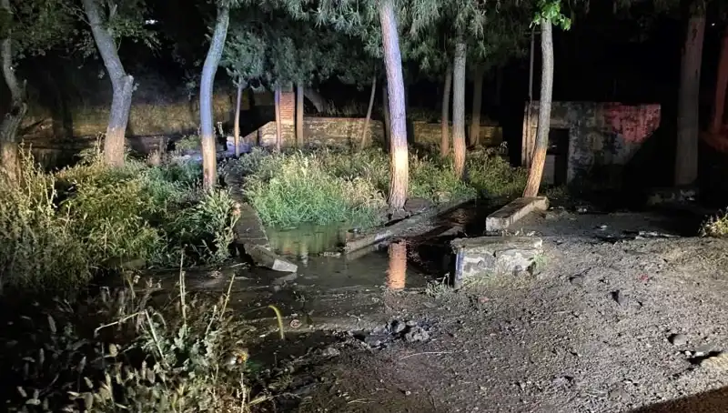 Manisa'da Parkta Şüpheli Ölüm: Cinayet Mi, Yoksa Kaza Mı?