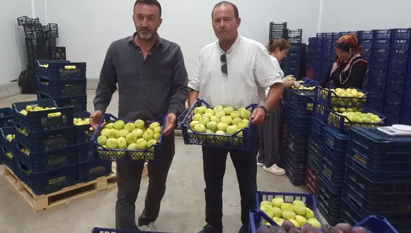 Mersinli Çiftçinin Umudu: Tanesi 20 TL'den İhraç Edilen Ürünler