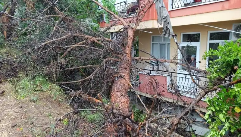 Yağmurla Mücadele Edemeyen Bina, Fırtına Anında Devrildi!