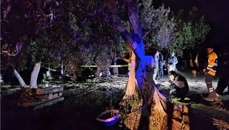 Çiftlikteki Baltalı Vahşete Sarsıcı Tutuklama: Olayın Perde Arkası