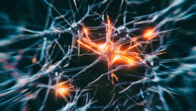 Alzheimer Vakalarındaki Korkutucu Artışın Nedenleri ve Çözümleri