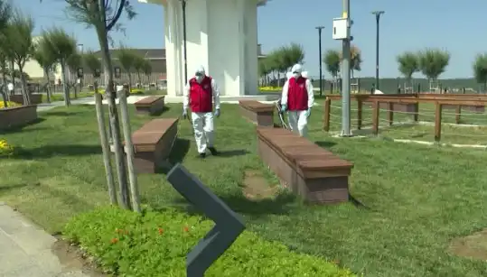 Kene Tehlikesi Artıyor: Halka Açık Yerlerde İlaçlama Seferberliği