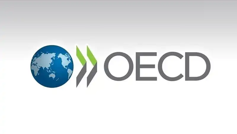 OECD, Türkiye’nin Ekonomik Büyüme Tahminlerinde Önemli Revizyonlar Yaptı!