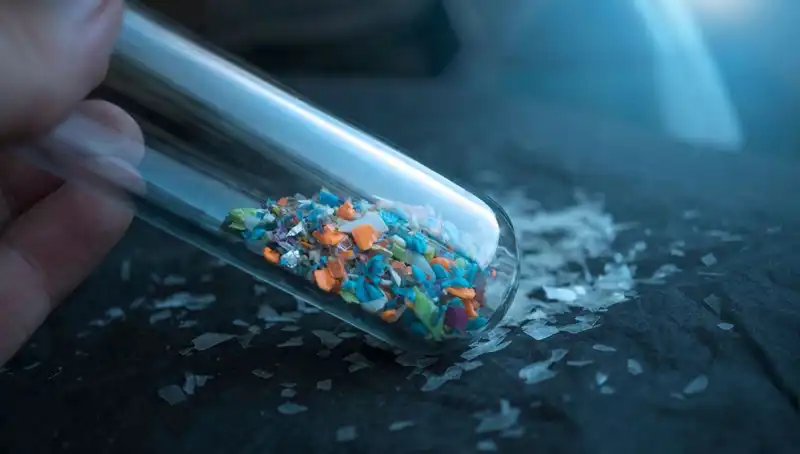 Mikroplastikler, İnsan Beynine Erişerek Sağlığı Tehdit Ediyor