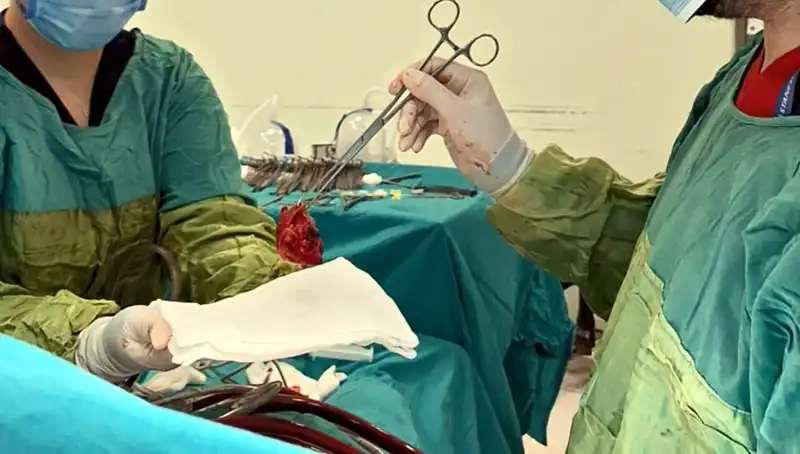 Yaşama Dönüş: Çürüyen Kalp Kapağı ile 7 Saatlik Ameliyat Başarıyla Tamamlandı