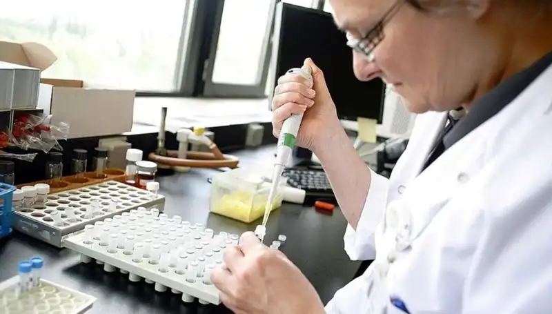 Antibiyotiklere Dirençli Bakteriler: Küresel Sağlık Tehlikesi