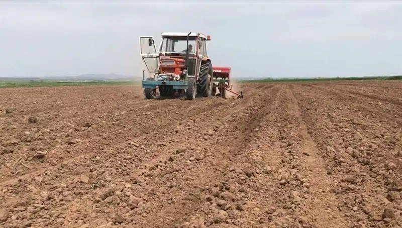 Son 35 Yılda Görülmemiş Kuraklık: Mart Ayında Yağışlar Yüzde 59 Azaldı