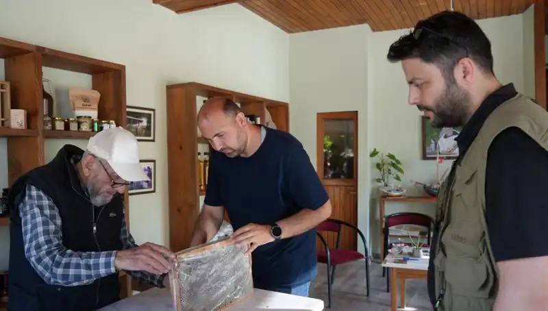 Hem Şifa Hem Zehir: Bu Besini Doktor Tavsiyesi ile Tüketin