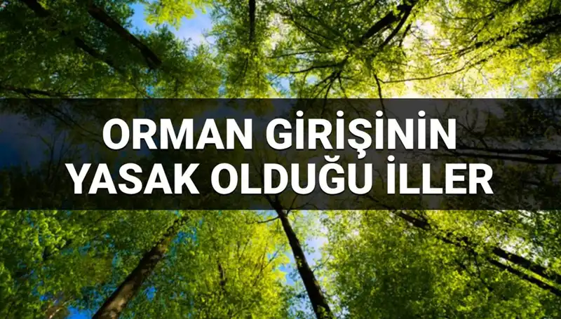 Türkiye’de Orman Girişine Yasaklanan İller: 2025’te Hangi Bölgeler Etkilenecek?