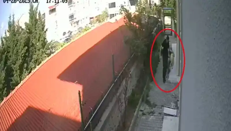 Doktorun Korkunç Suçu: Sahiplendiği Köpekleri Evde Parçaladı