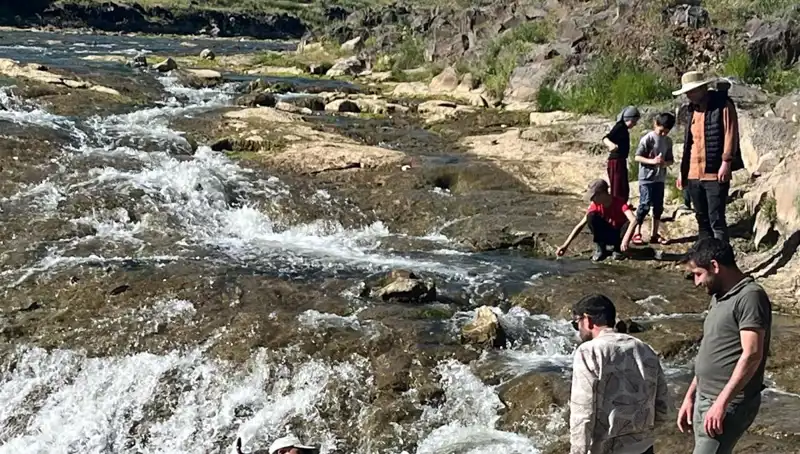İnci Kefalinin Göçü: Doğanın Mucizesi Turistleri Büyülüyor