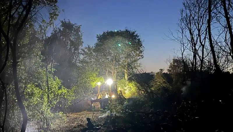 Edirne’deki Büyük Orman Yangını Kontrol Altına Alındı: İtfaiye Ekiplerinin Başarı Hikayesi