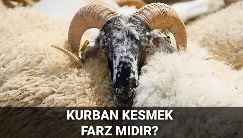Kurban Kesmek Farz mı? Diyanet'e Göre Şartları ve Hükmü