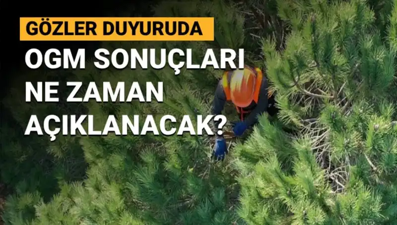 OGM Personel Alımı Duyurusu: 3.477 Sözleşmeli Personelin Başvuru Sonuçları Ne Zaman Açıklanacak?