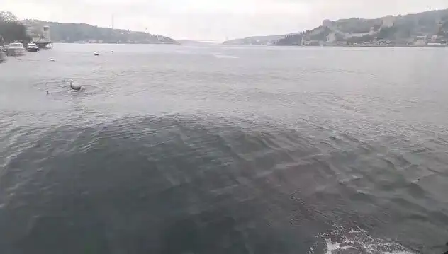 İstanbul Boğazı'nda Dalgalar Neden Yükseliyor? Meteorolojik Etkilerin İncelenmesi