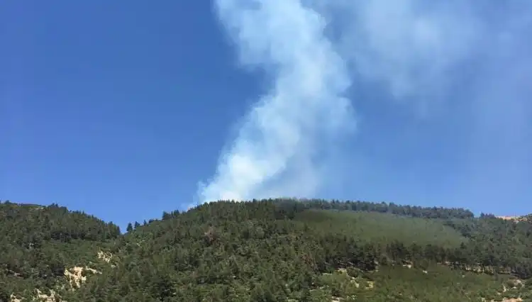 Ahır Dağı’nın Zirvesinde Korkutan Yangın: Doğa Felaketine Yakından Bakış