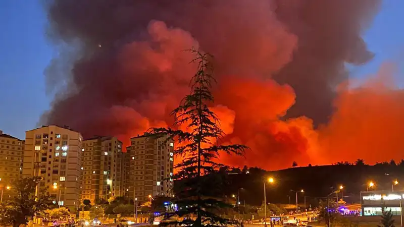 Bursa’da Orman Yangınları Hayatı Olumsuz Etkiliyor: Neler Oluyor?